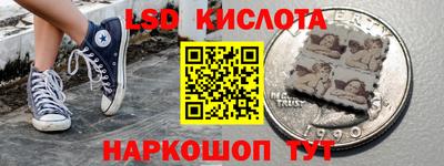 крисы Новодвинск