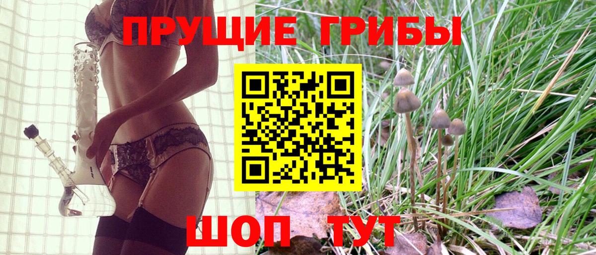 Ангарск  Псилоцибиновые грибы GOLDEN TEACHER  Галлюциногенные грибы GOLDEN TEACHER  Вход с VPN 