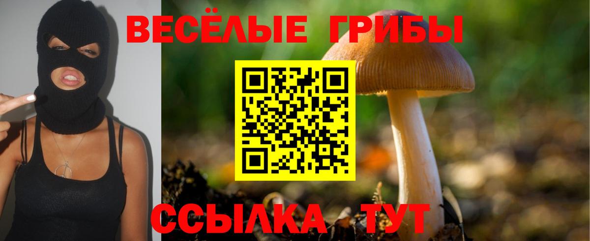 Галлюциногенные грибы Magic Shrooms Ангарск